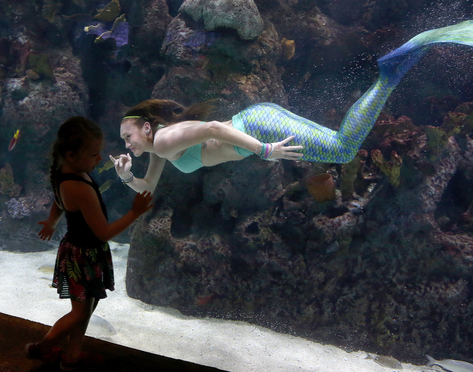 Cameron Park Zoo mermaids